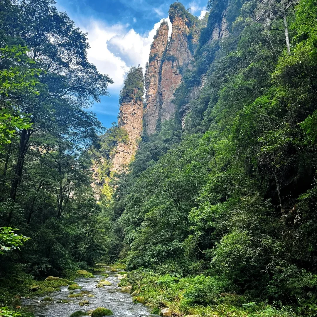 National Forest Park