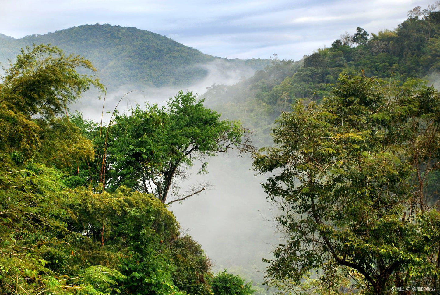 Kunming + Dali + Lijiang + Xishuangbanna 7-Day 6-Night Private Tour