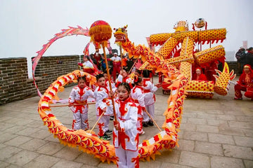 Cultural Extravaganza: National Dragon Dance Carnival