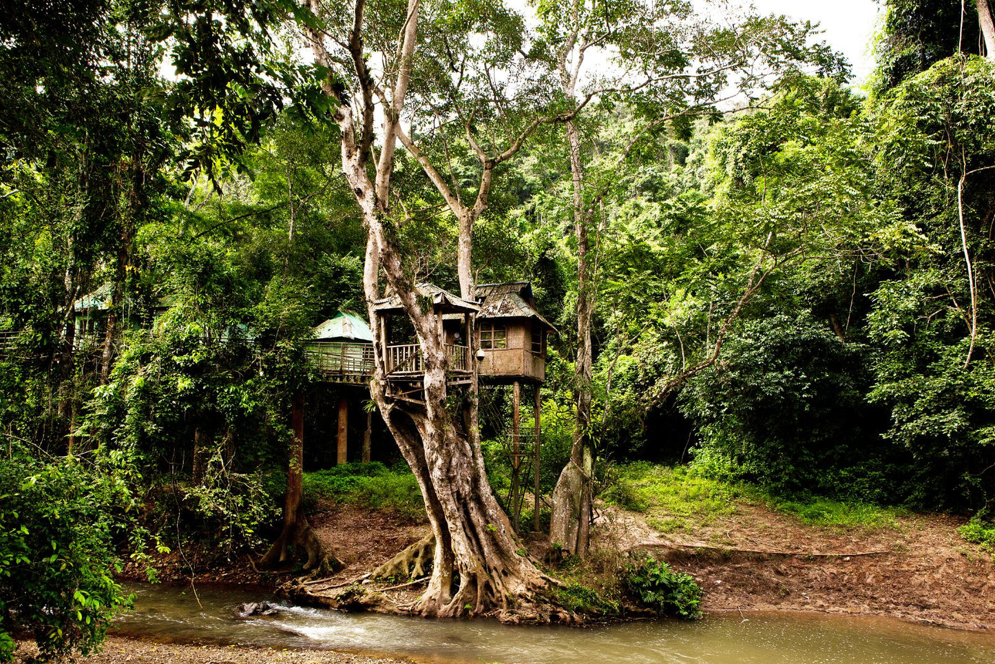 Kunming + Dali + Lijiang + Xishuangbanna 7-Day 6-Night Private Tour