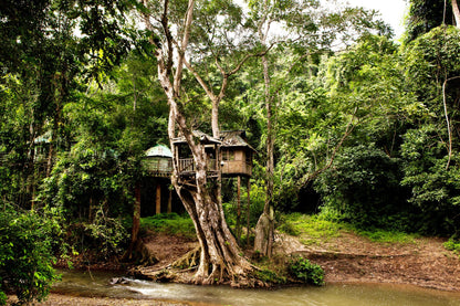 Kunming + Dali + Lijiang + Xishuangbanna 7-Day 6-Night Private Tour