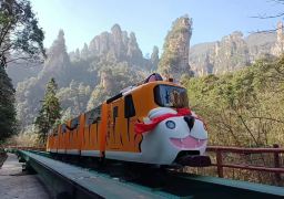 張家界国家森林公園＋大峡谷＋天門山 4日間3泊プライベートツアー