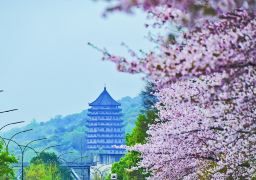 上海・蘇州・杭州・烏鎮 5日間4泊プライベートツアー