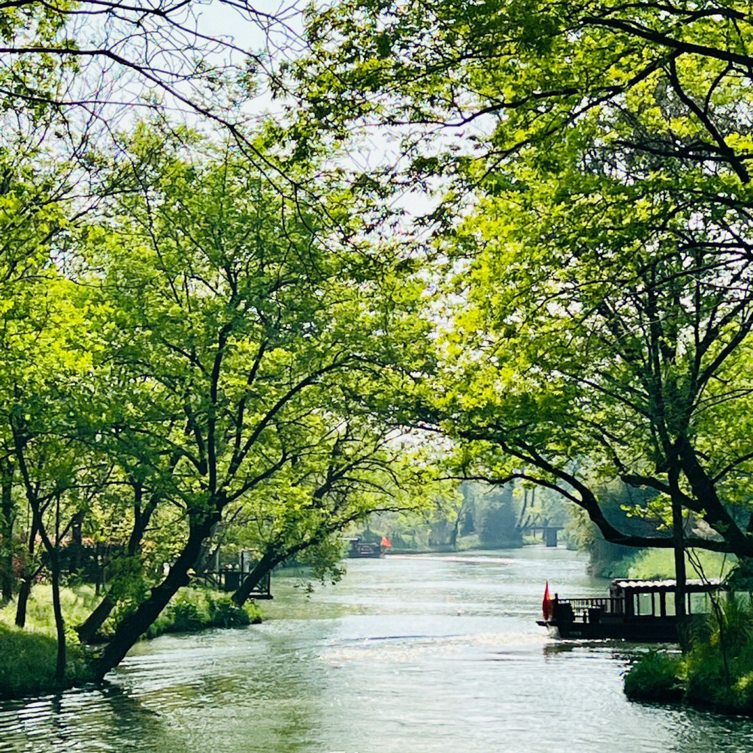 Xixi Wetland