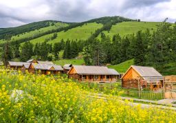 Northern Xinjiang 8-Day 7-Night Private Tour