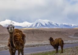 Southern Xinjiang 8 Days 7 Nights VIP Private Tour