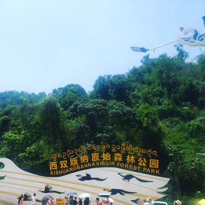 Primitive Forest Park