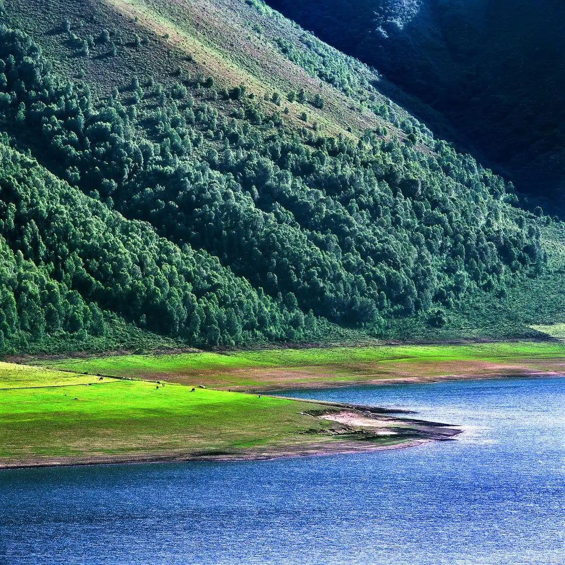 Потатсо