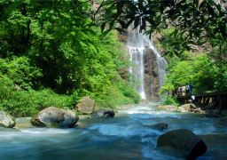 張家界国家森林公園＋大峡谷＋天門山 4日間3泊プライベートツアー