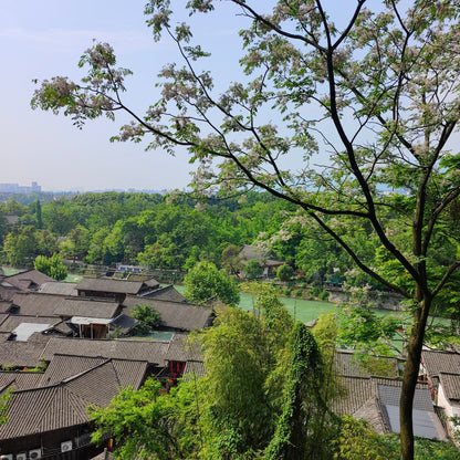 Dujiangyan Irrigation Project