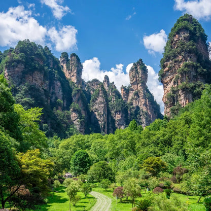 National Forest Park