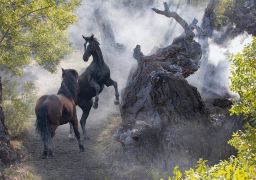 Northern Xinjiang 8-Day 7-Night Private Tour