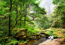 張家界国家森林公園＋大峡谷＋天門山 4日間3泊プライベートツアー