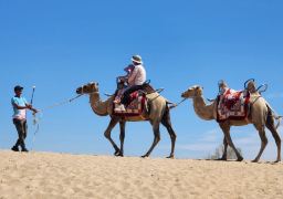 Northern Xinjiang 8-Day 7-Night Private Tour