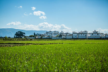 Kunming • Dali • Erhai Lake 5Day 4Night Private Tour