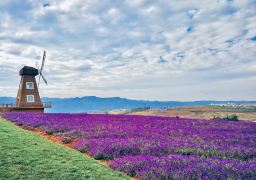 6-Day 5-Night Private Tour: Kunming + Fuxian Lake + Jianshui + Yuanyang + Puzhehei + Mile