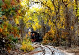 Southern Xinjiang 8 Days 7 Nights VIP Private Tour