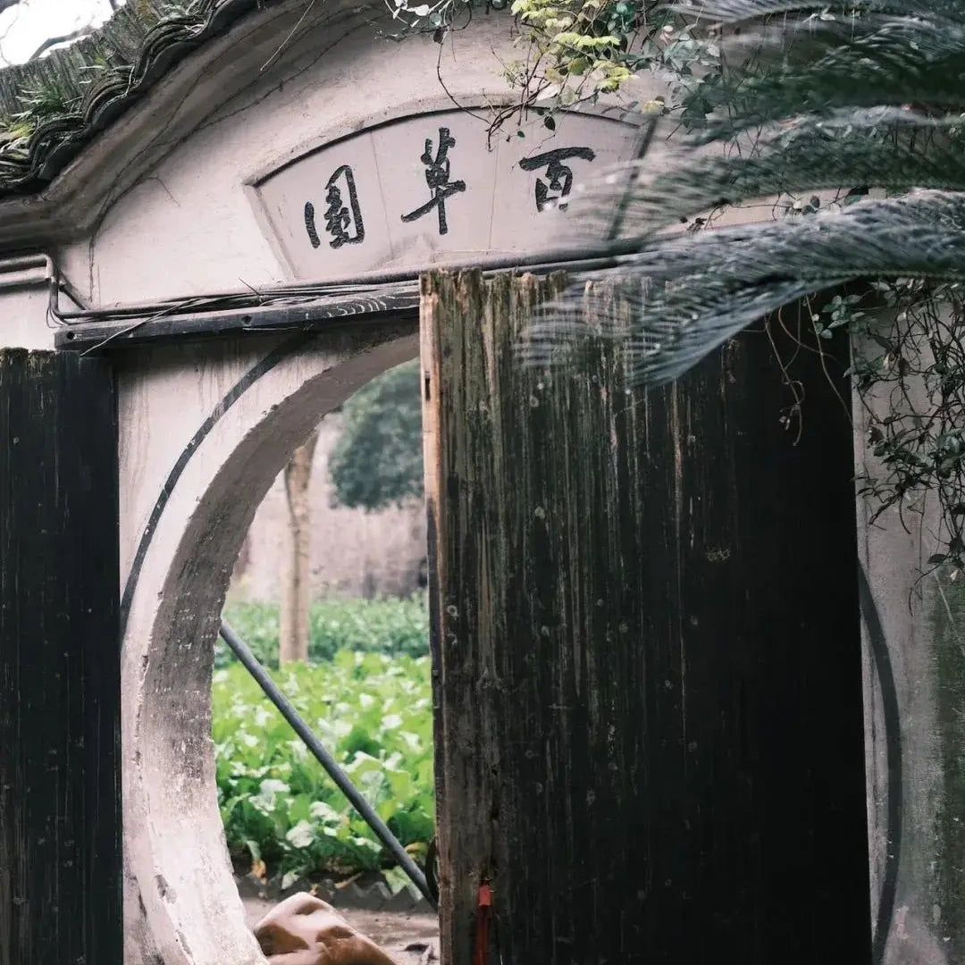 Lu Xun's Hometown