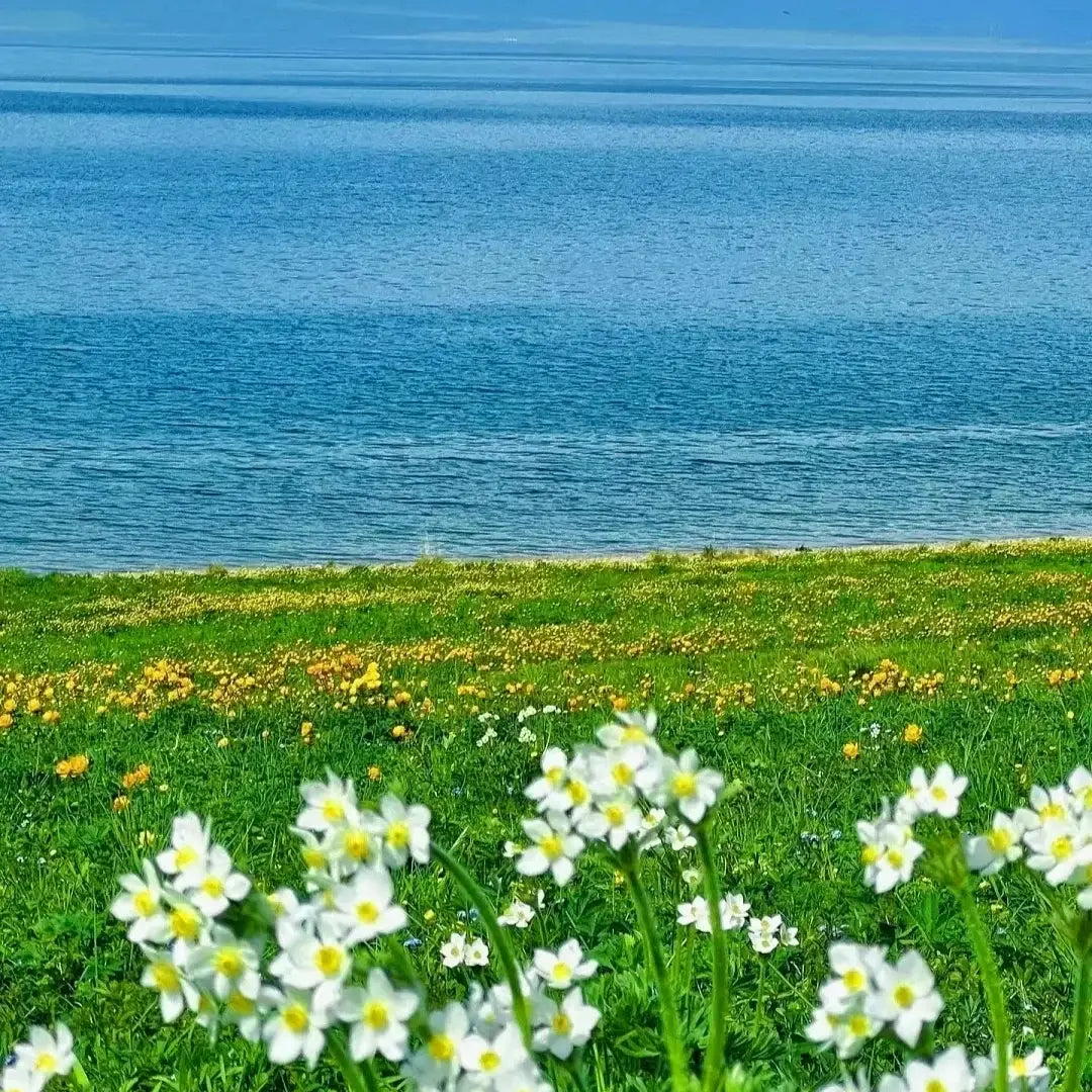 Sairam Lake