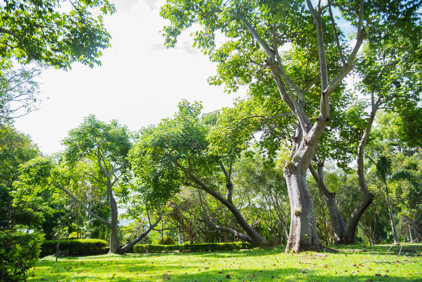 Kunming + Dali + Lijiang + Xishuangbanna 7-Day 6-Night Private Tour