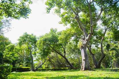 Kunming + Dali + Lijiang + Xishuangbanna 7-Day 6-Night Private Tour