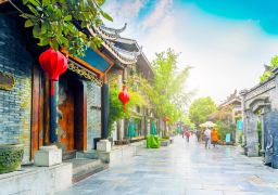 Chengdu Panda Base + Sanxingdui Museum 4Day 3Night Private Tour