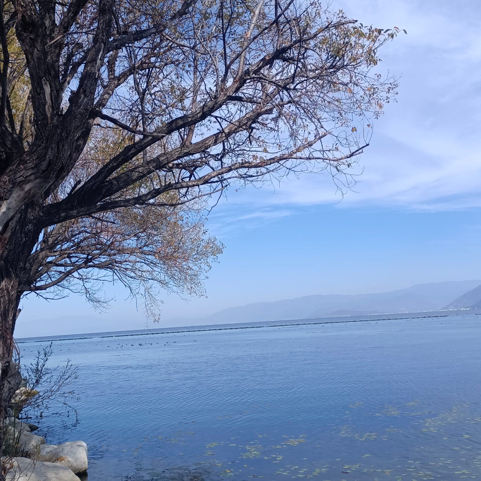 Erhai Lake