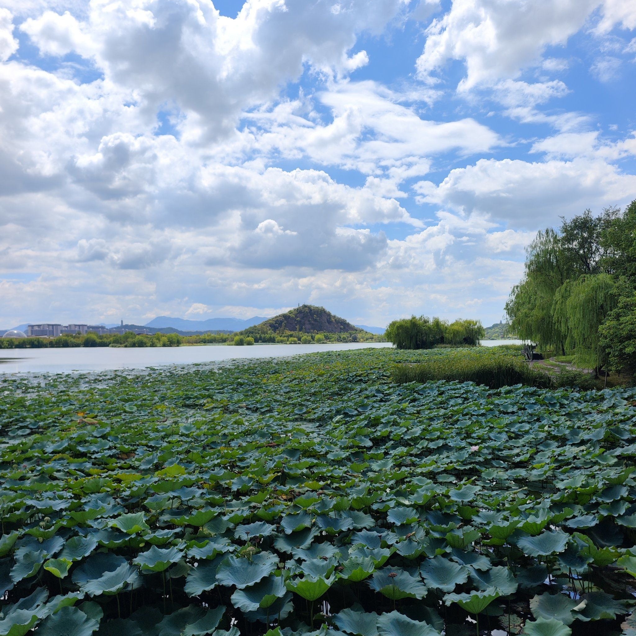 Xianghu Lake