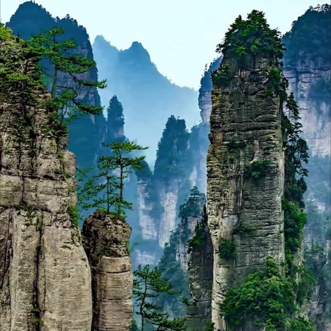 National Forest Park