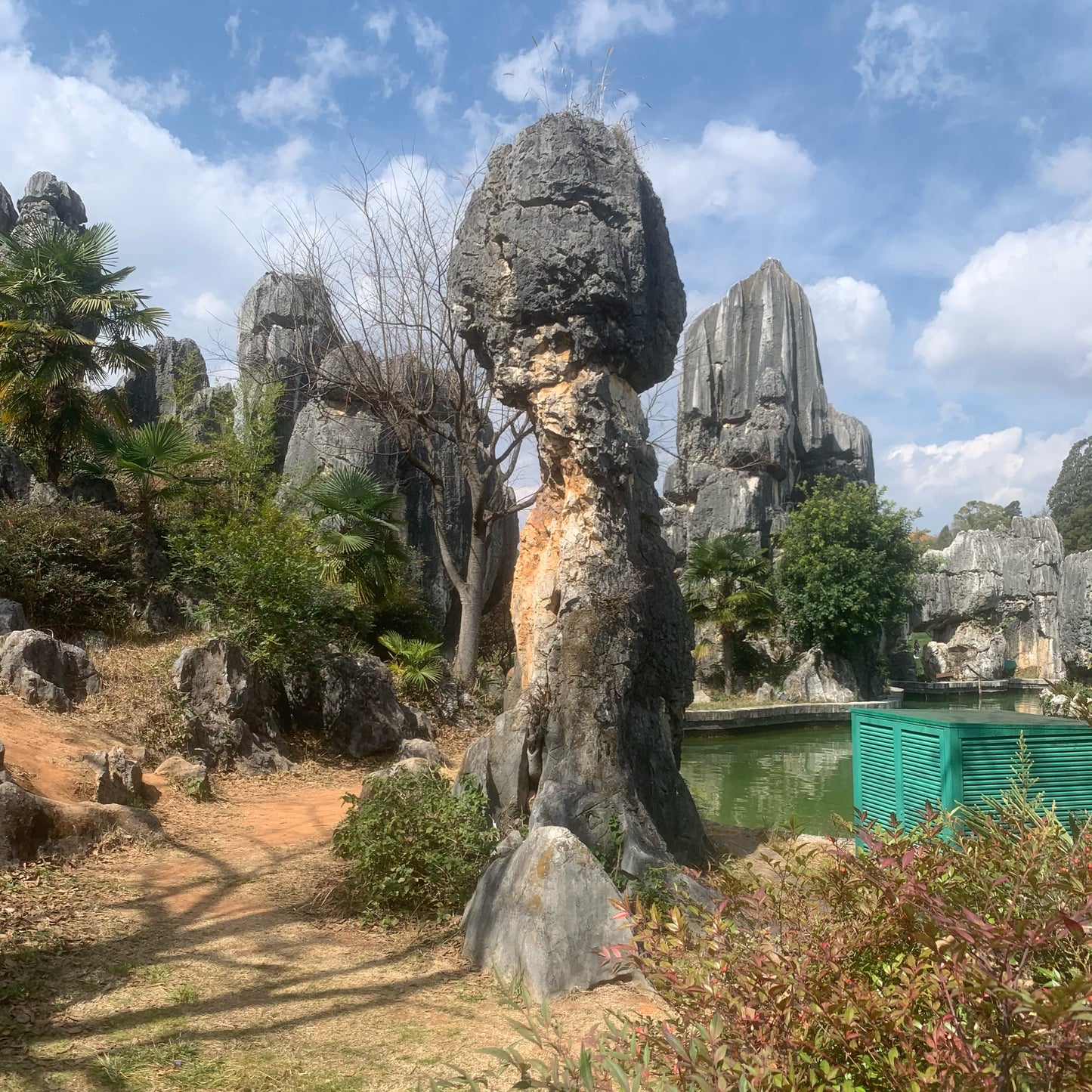 Stone Forest