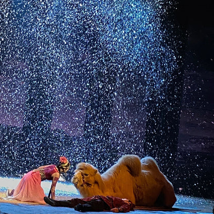 Xi'an Romance of the Ages