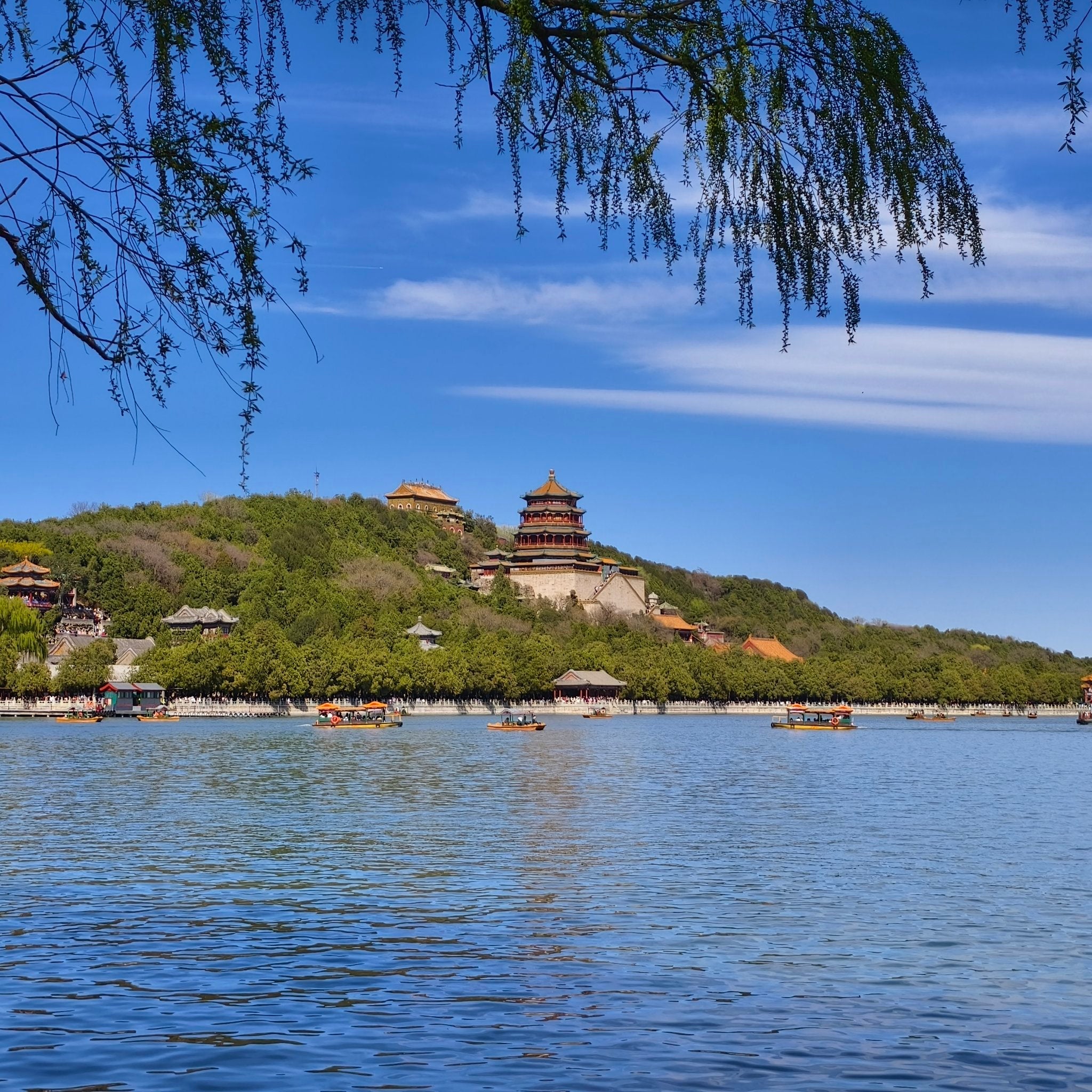 The Summer Palace