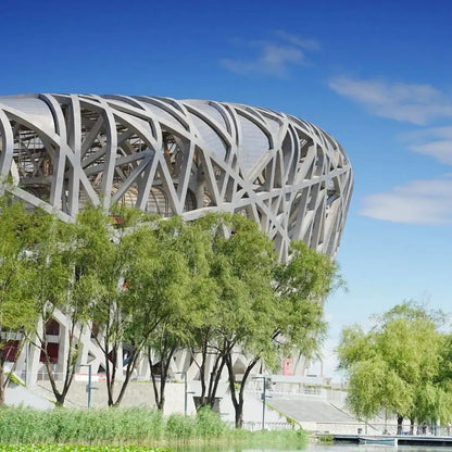 The bird's Nest stadium
