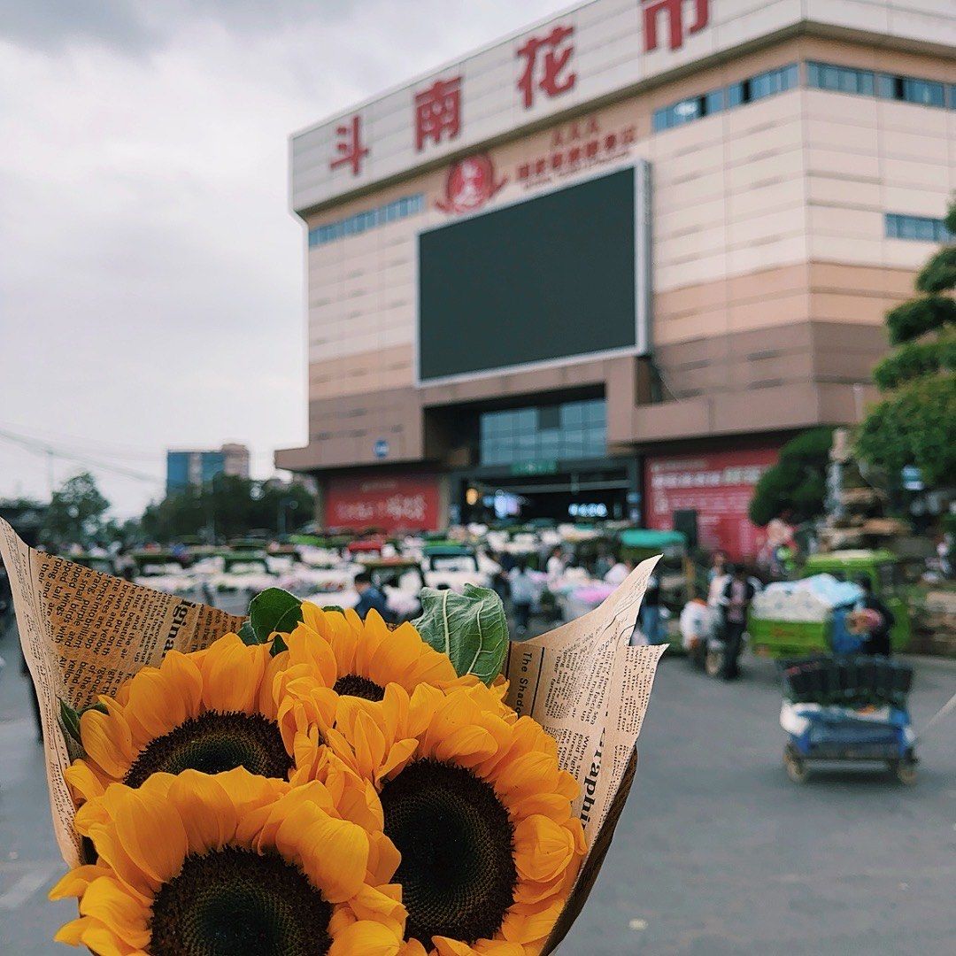 斗南花卉市場