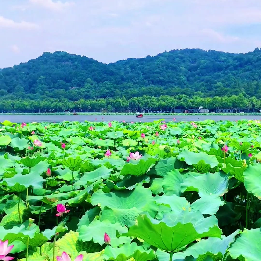 West Lake