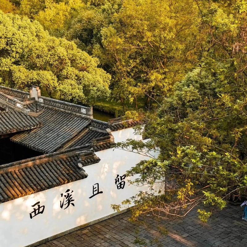 Xixi Wetland