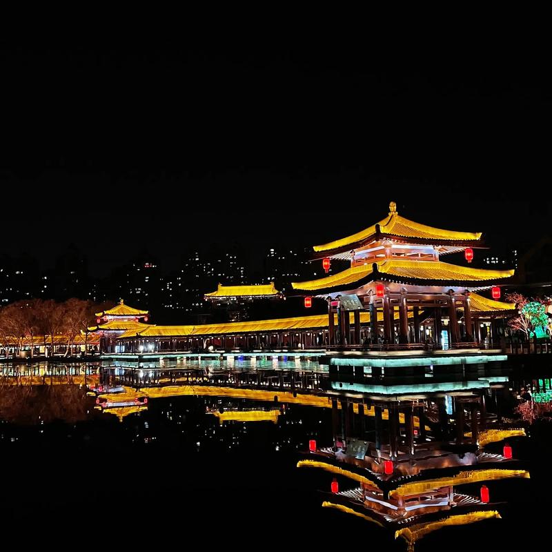 Tang Paradise