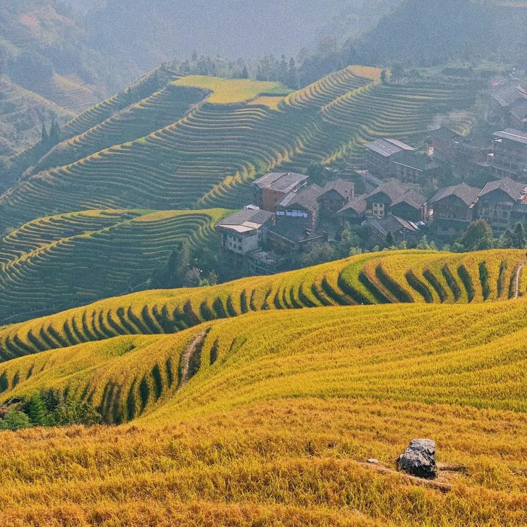 Longji terrace