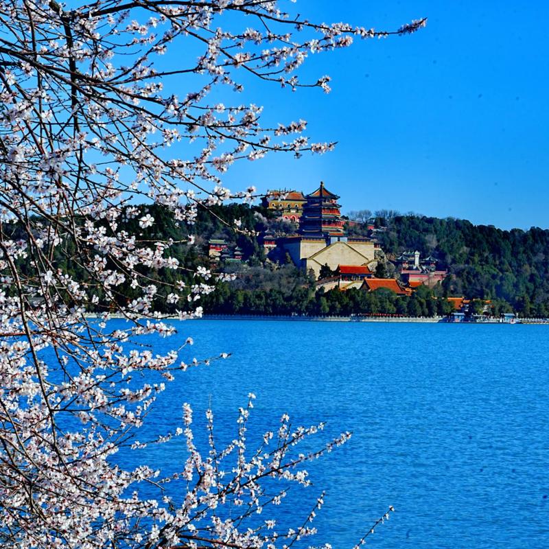 The Summer Palace