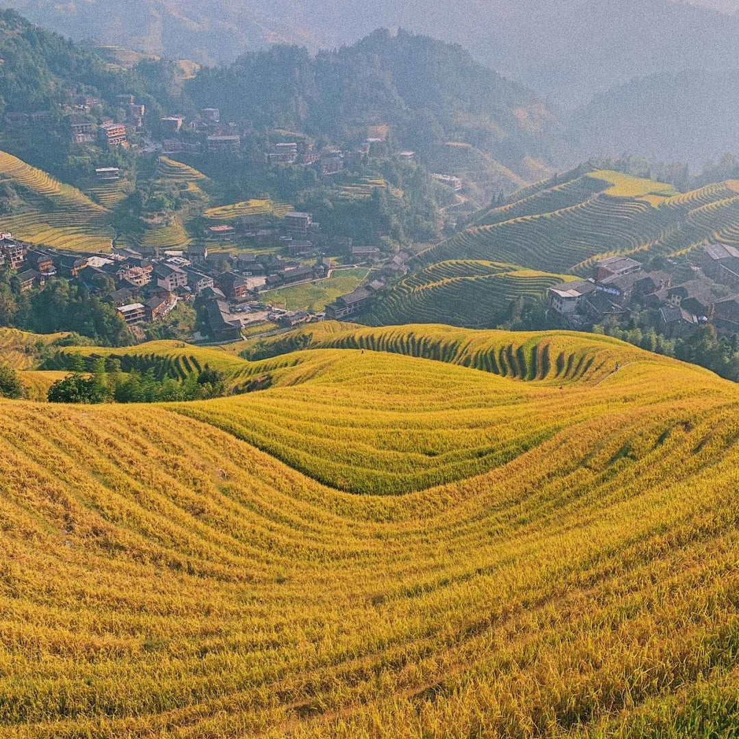 Longji terrace
