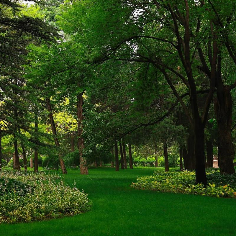 Tsinghua University