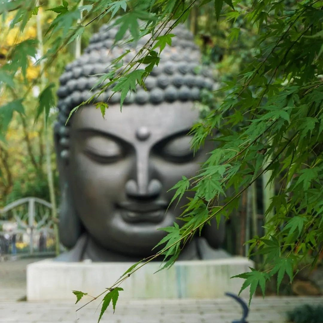 Hangzhou Botanical Garden