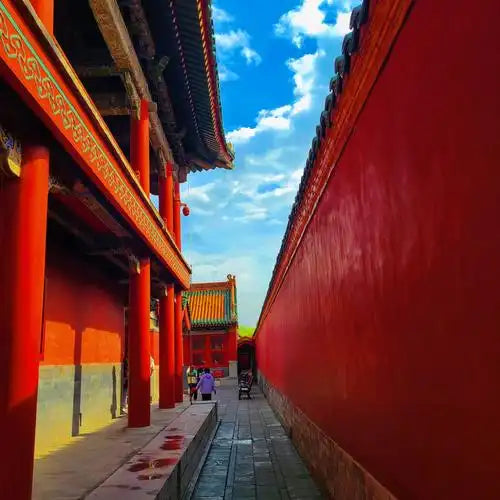 The Palace Museum