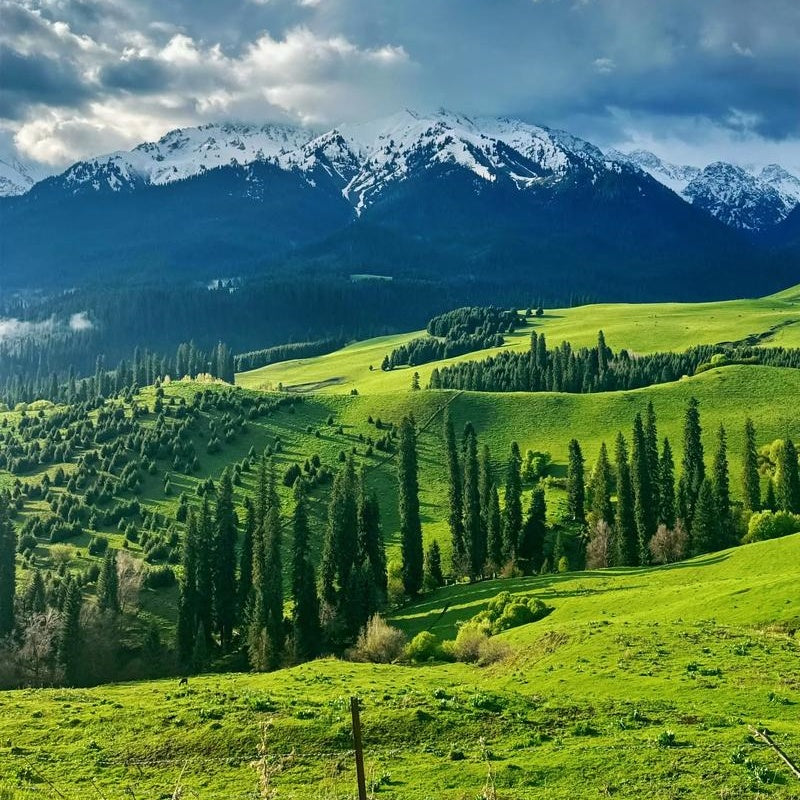 Ili river valley