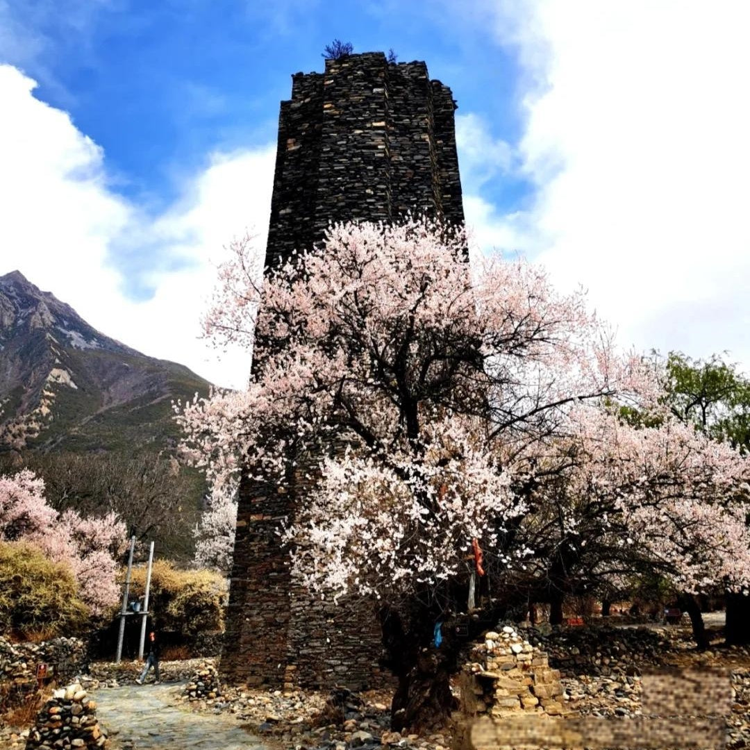Xiuba Castle