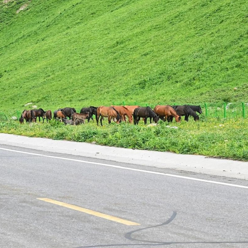 Duku Highway