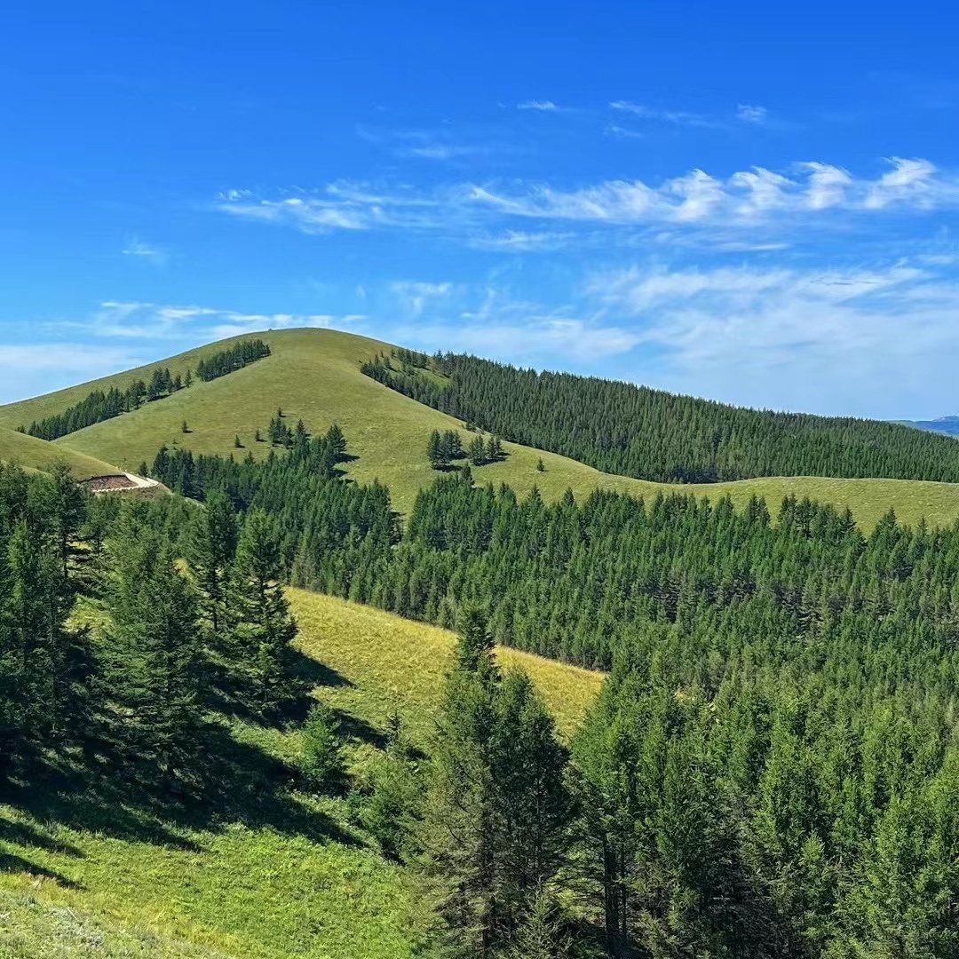 Nalati